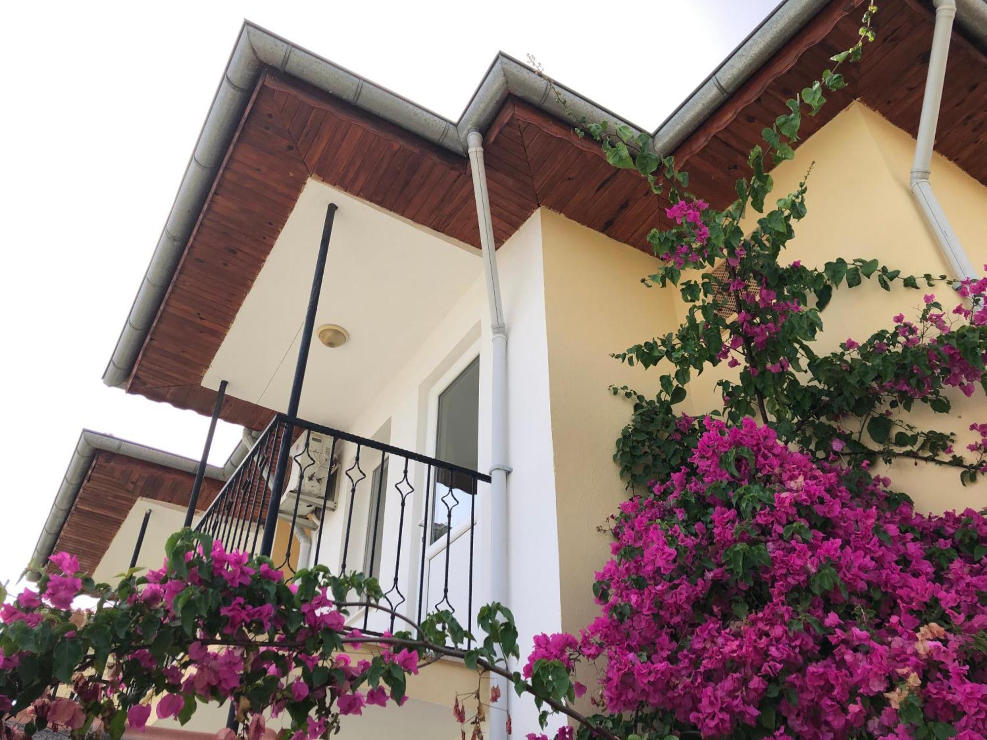 Defne Olive Gardens, Koca Calis, Fethiye - Previously Defne Pansiyon ภายนอก รูปภาพ