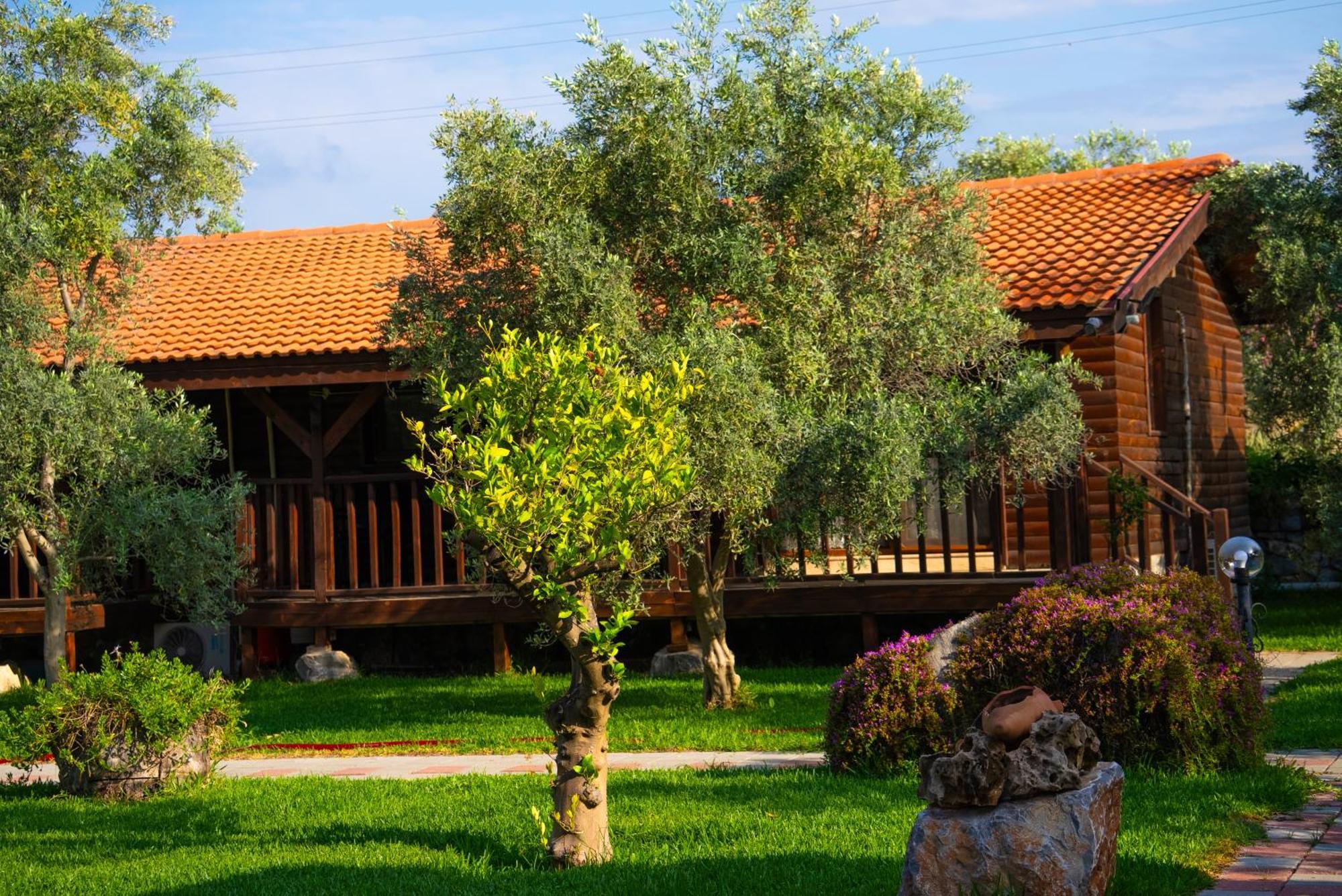 Defne Olive Gardens, Koca Calis, Fethiye - Previously Defne Pansiyon ภายนอก รูปภาพ