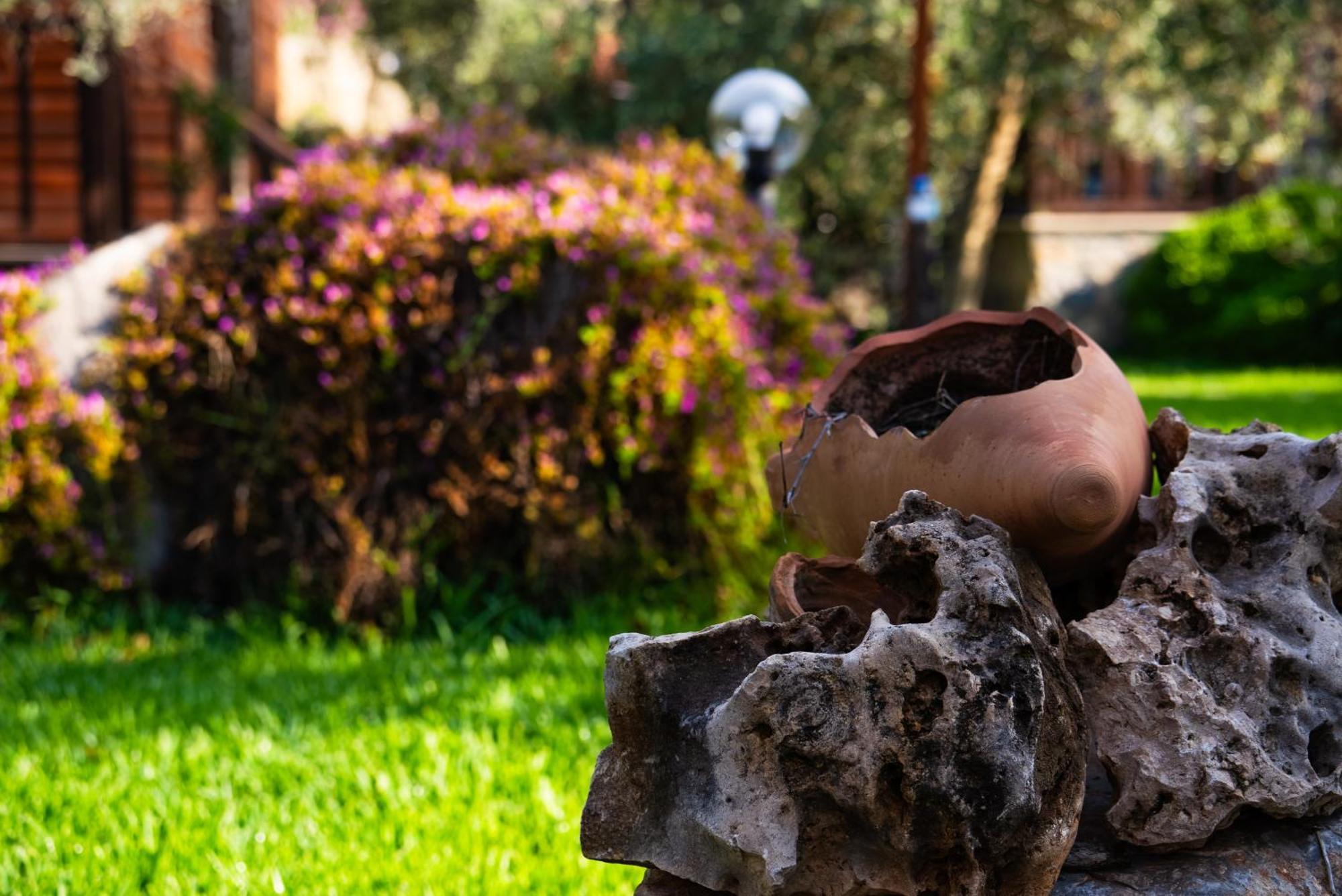 Defne Olive Gardens, Koca Calis, Fethiye - Previously Defne Pansiyon ภายนอก รูปภาพ