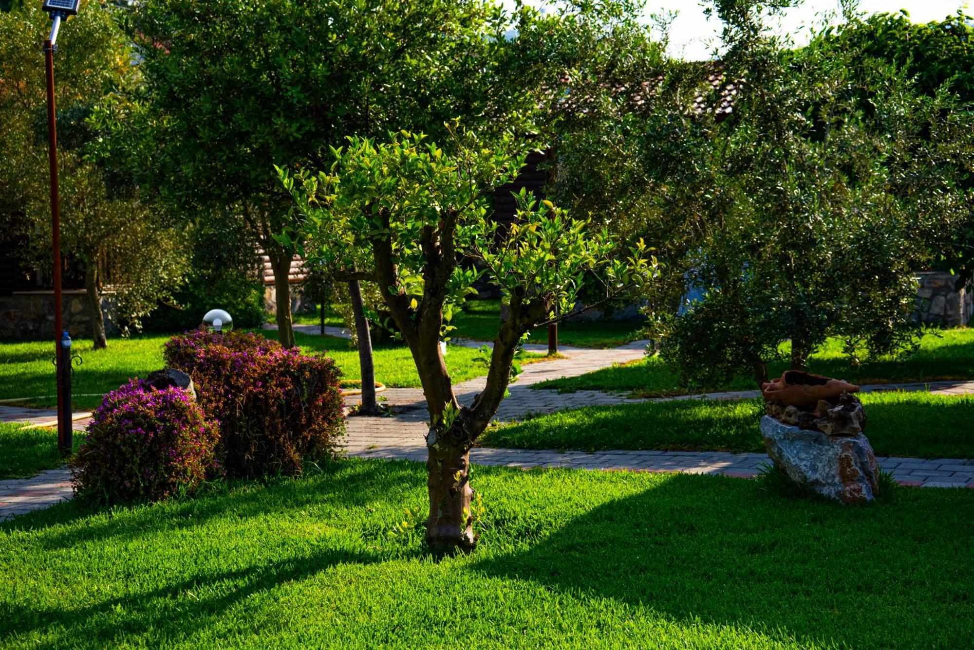 Defne Olive Gardens, Koca Calis, Fethiye - Previously Defne Pansiyon ภายนอก รูปภาพ